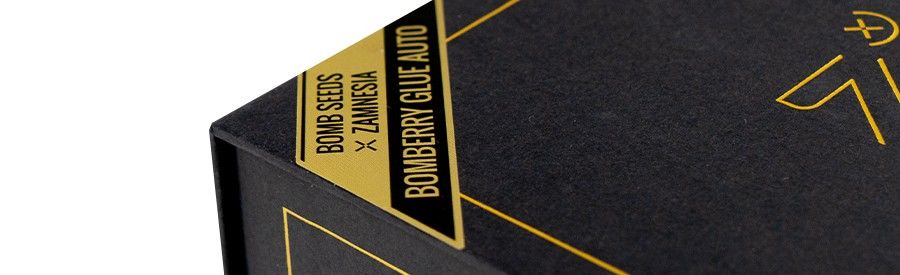 Bomberry Glue Auto zbliżenie