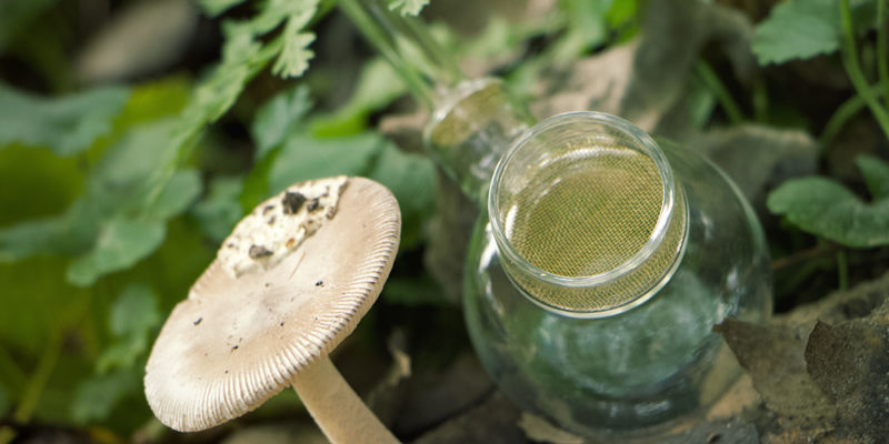 Historia waporyzatora w skrócie