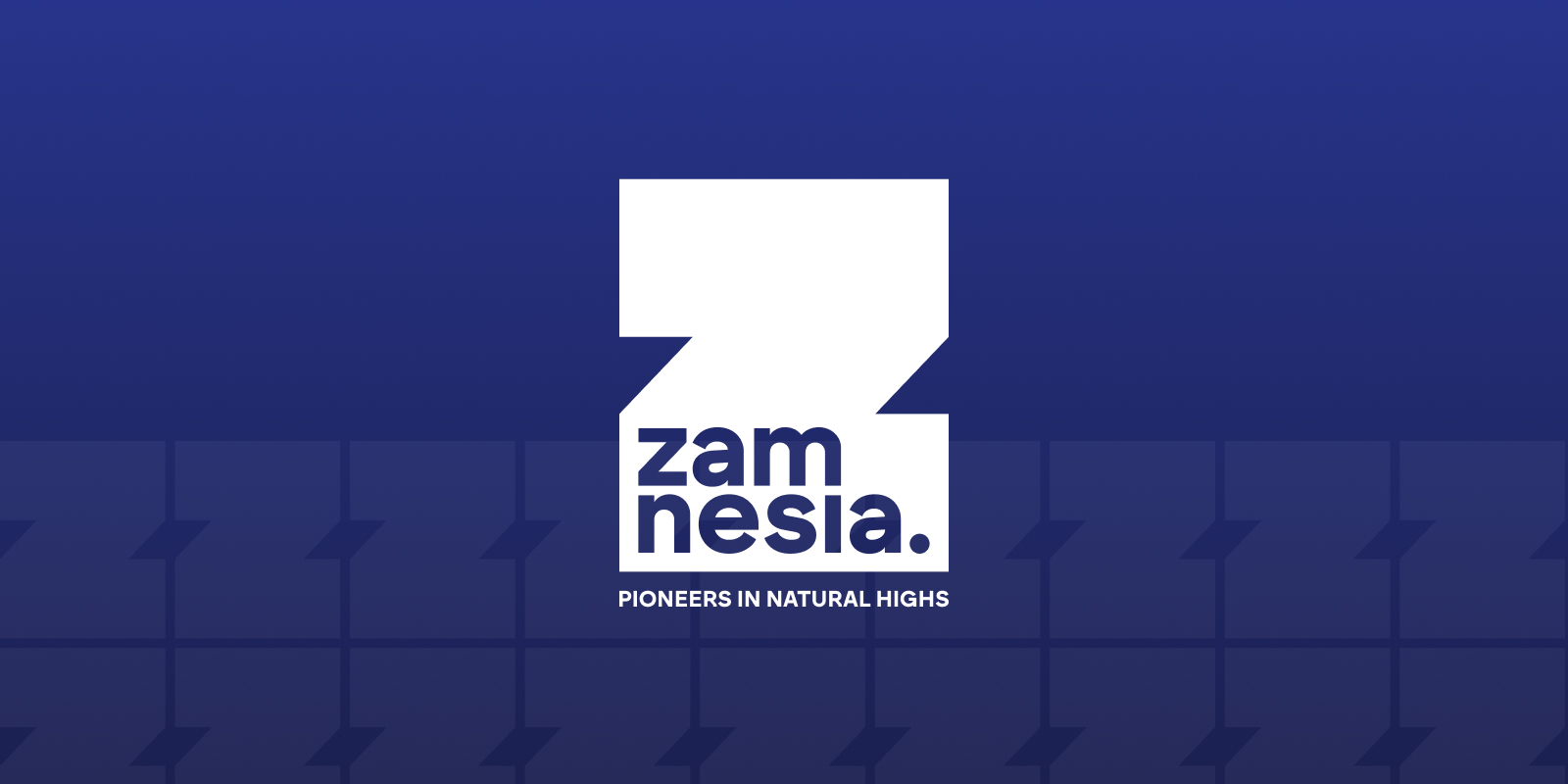 Regulamin Zamnesia