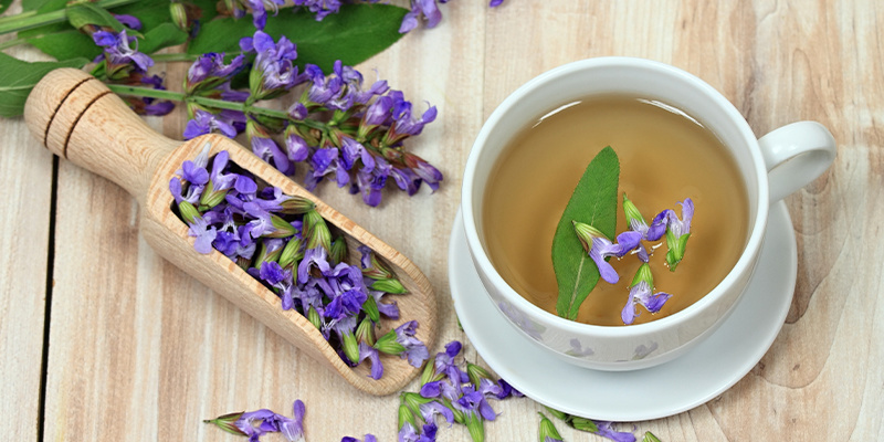 Jak działa Salvia divinorum?