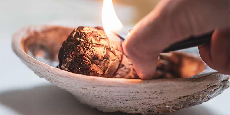 Czy Salvia divinorum jest legalna?