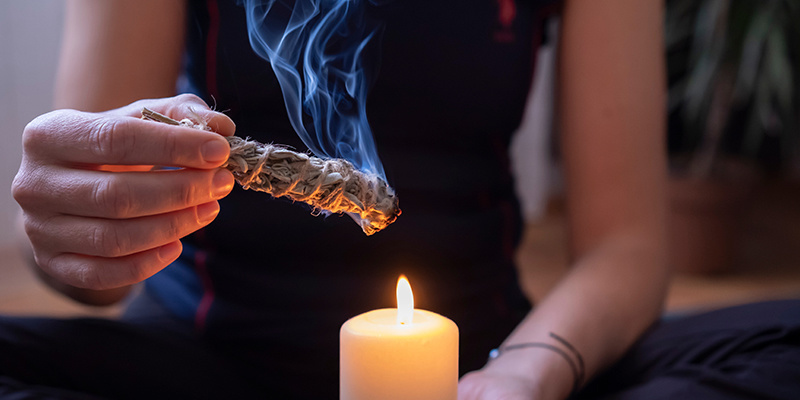 Gdzie kupić Salvia divinorum i kwestie bezpieczeństwa