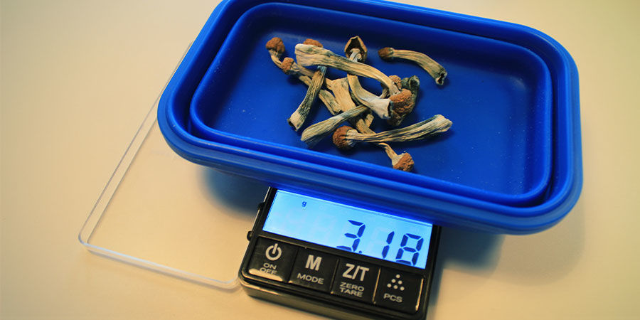 Jak dawkować grzybki halucynki