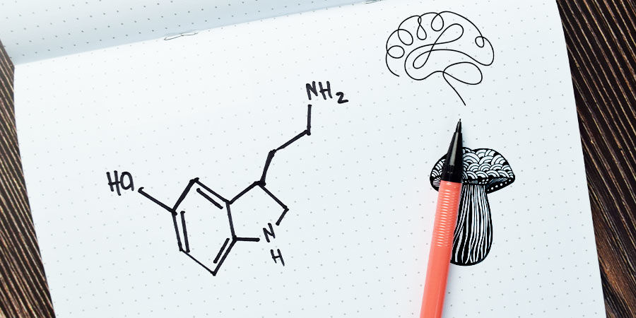 Co robią grzybki halucynki? Co robią grzybki halucynki?