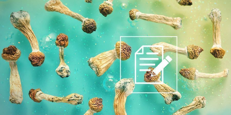 Co warto wiedzieć o grzybkach halucynkach (magic mushrooms) Co warto wiedzieć o grzybkach halucynkach (magic mushrooms)