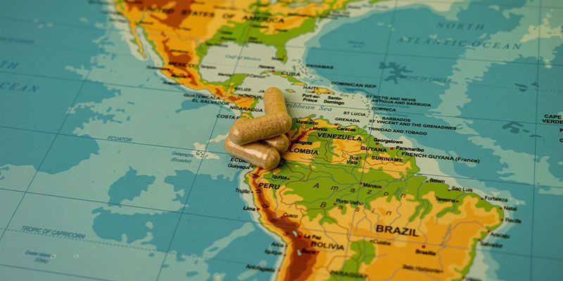 Skąd pochodzi korzeń maca?