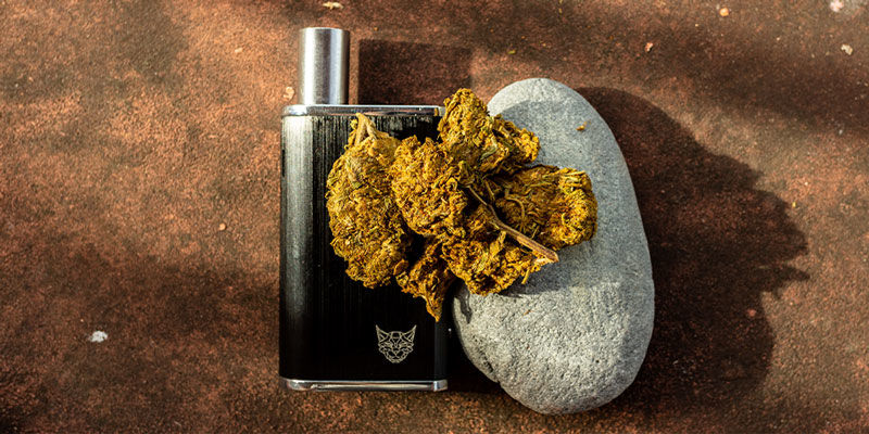 Przewodnik po temperaturach kannabinoidów Przewodnik po temperaturach kannabinoidów