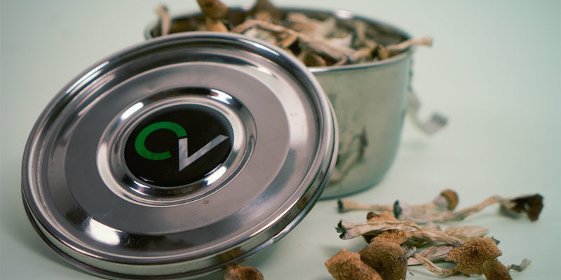 Przechowywanie suszonych grzybków halucynków Przechowywanie suszonych grzybków halucynków