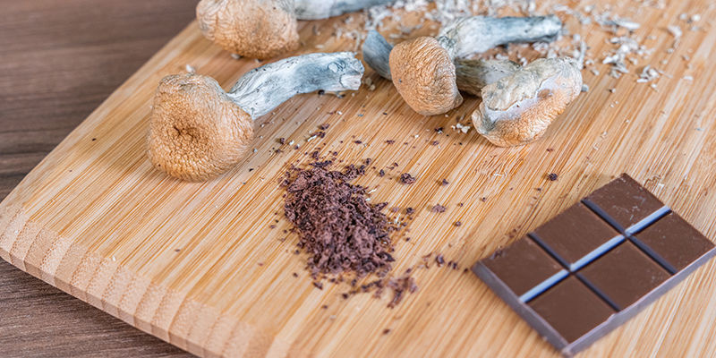 Jedzenie słodyczy z grzybkami halucynkami Eating Magic Mushroom Edibles