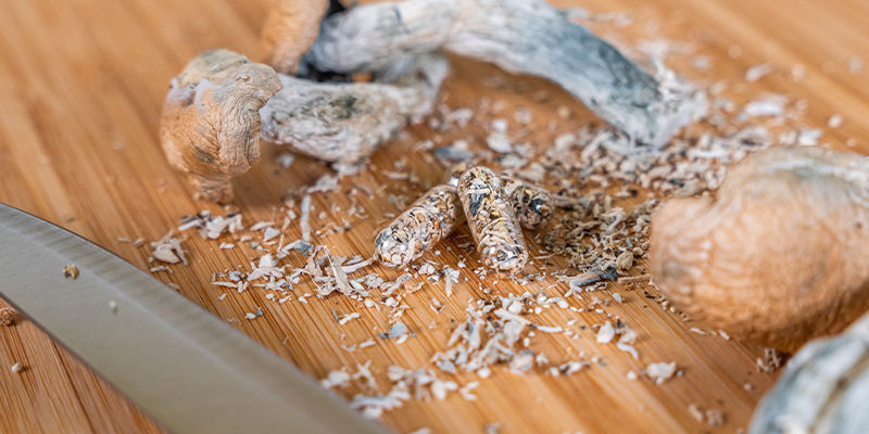 Przyjmowanie kapsułek z grzybkami halucynkami Przyjmowanie kapsułek z grzybkami halucynkami