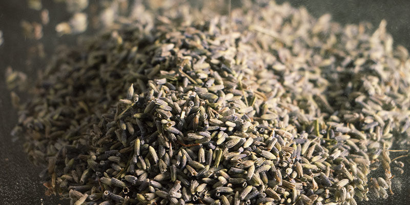 Lawenda: 130 °C / 266 °F