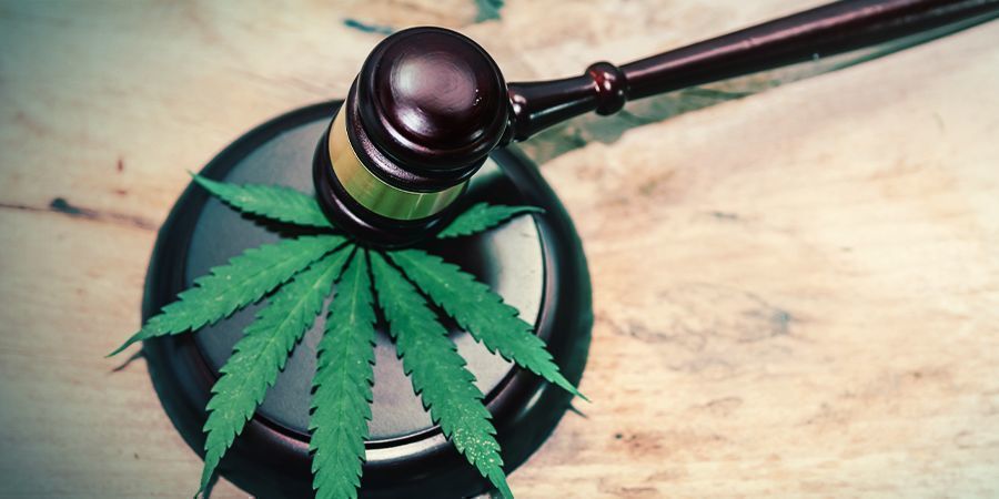 CZYM SĄ LEGALNE HAJE?