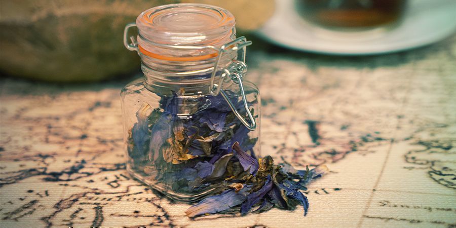 Niebieski lotos: przemyślenia na koniec Niebieski lotos: przemyślenia na koniec