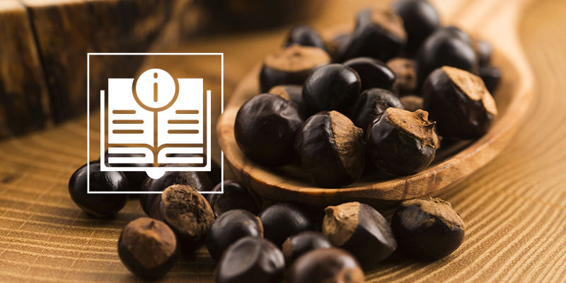 Wszystko, co musisz wiedzieć o guaranie