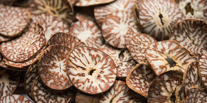 Orzech areki (betel) Betel Nut