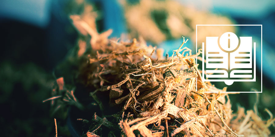 Clavo Huasca: Wszystko, co musisz wiedzieć o clavo huasca Clavo Huasca: Everything You Need To Know