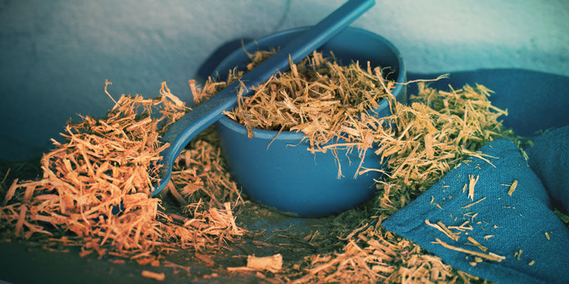 Jak używać clavo huasca Using Clavo Huasca