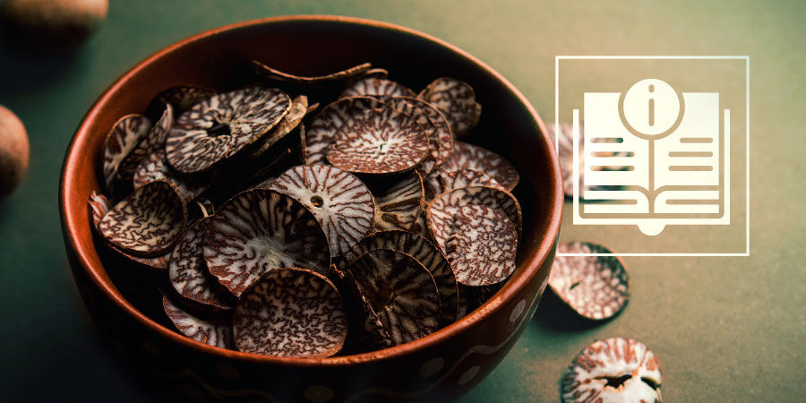 Orzech areki (betel) Orzech areki (betel)