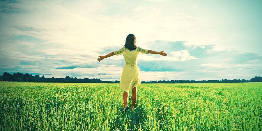 Działanie Leonotis leonurus