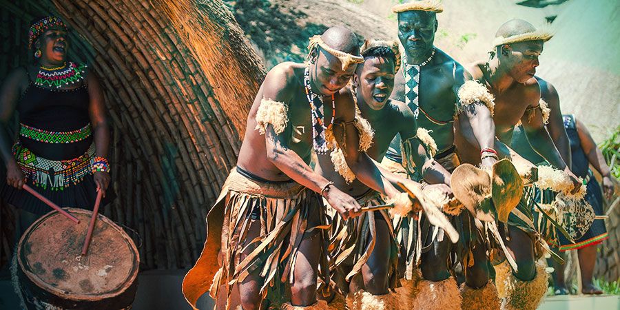 Historia Leonotis leonurus