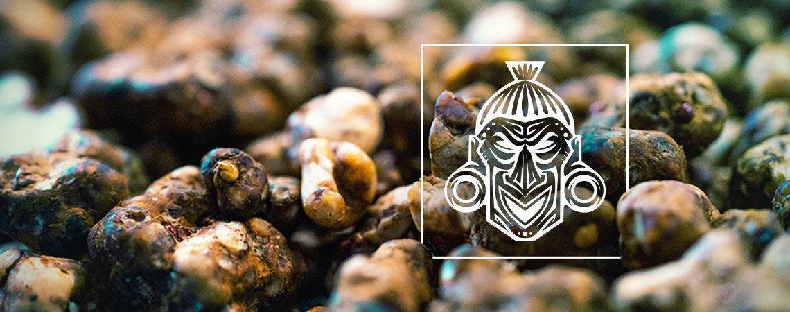 Jak przygotować zestaw Zamnesia Outdoor Cultivation Kit Jak przygotować zestaw Zamnesia Outdoor Cultivation Kit