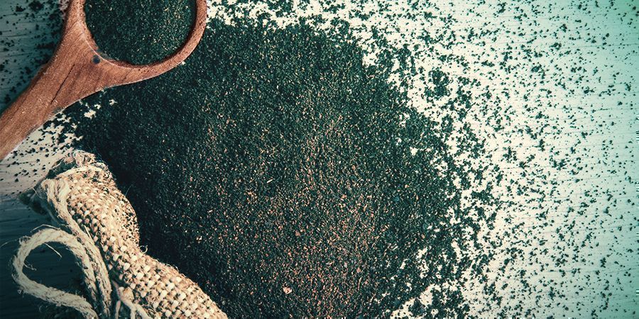 Zapobieganie muchówkom w uprawie grzybów - fusy z kawy