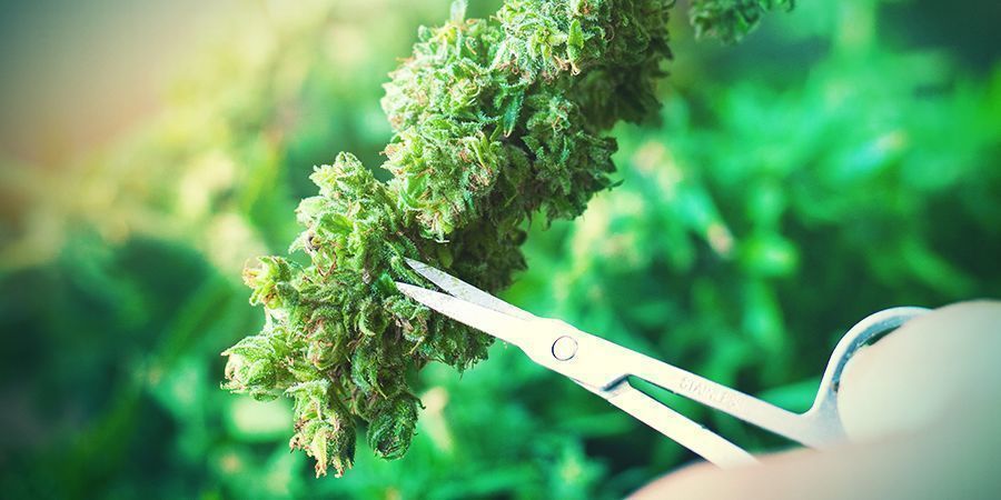 UTWARDZANIE WODNE – KROK PO KROKU