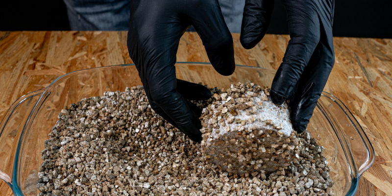 PF tek obtocz je w wermikulicie