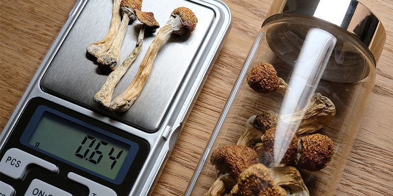 Przykładowe harmonogramy mikrodawkowania