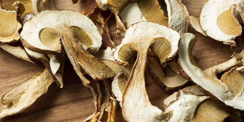 Mikrodawkowanie grzybów psychodelicznych i niepsychodelicznych