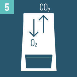 Instrukcja użytkownika: growkity z grzybami halucynkami Zamnesia
