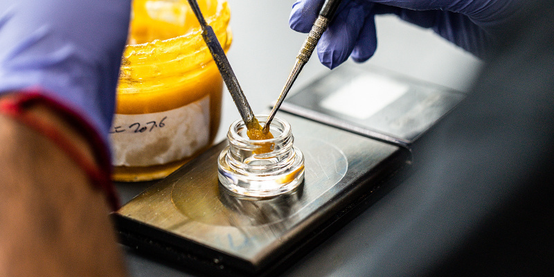 Jak powstają koncentraty konopi?