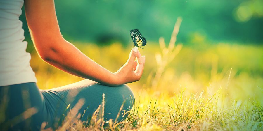 Jakie są efekty White Lotus? JAKIE SĄ EFEKTY WHITE LOTUS?