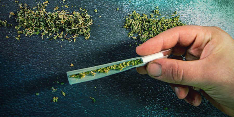 ROGATA OBFITOŚĆ Z MARIHUANĄ