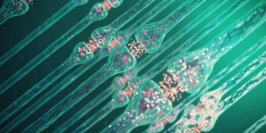 Co się dzieje, gdy alkohol i CBD są łączone? CO SIĘ DZIEJE, GDY ALKOHOL I CBD SĄ ŁĄCZONE?