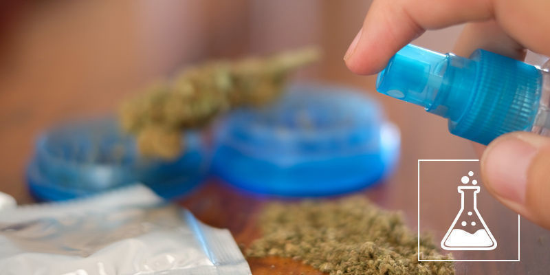 Czym jest syntetyczna marihuana?