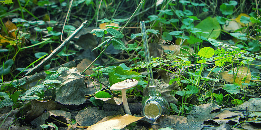 Eagle Bill: Fajka pokoju przyszłości Eagle Bill: Fajka pokoju przyszłości