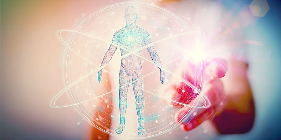 Praca z anatomią człowieka