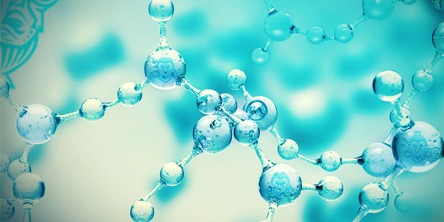 CHEMIA VOACANGA AFRICANA