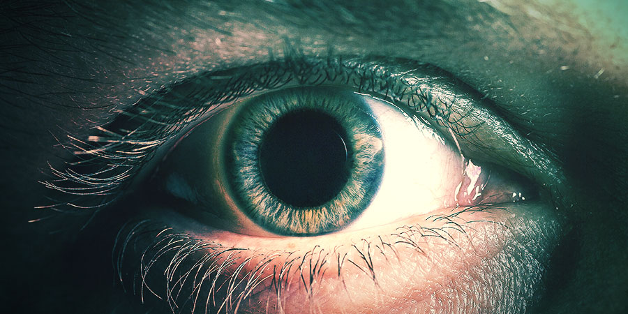 Wzmocnienie funkcji poznawczych Wzmocnienie funkcji poznawczych