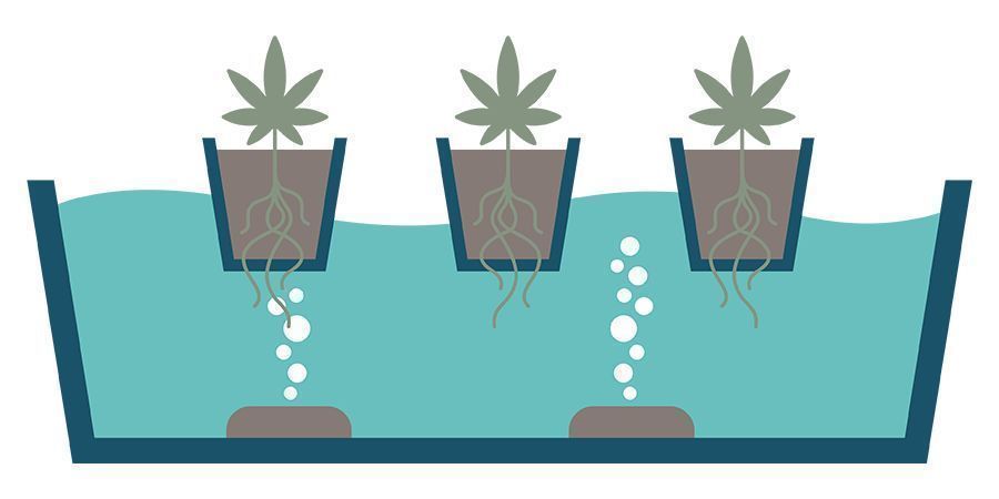 Czym jest DWC? Czym jest DWC?