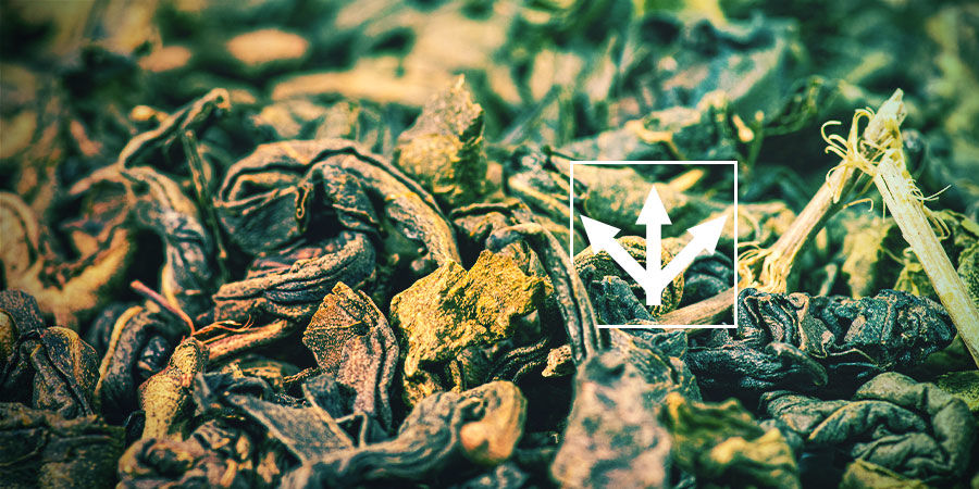 Odmiany herbaty Gunpowder ODMIANY HERBATY GUNPOWDER