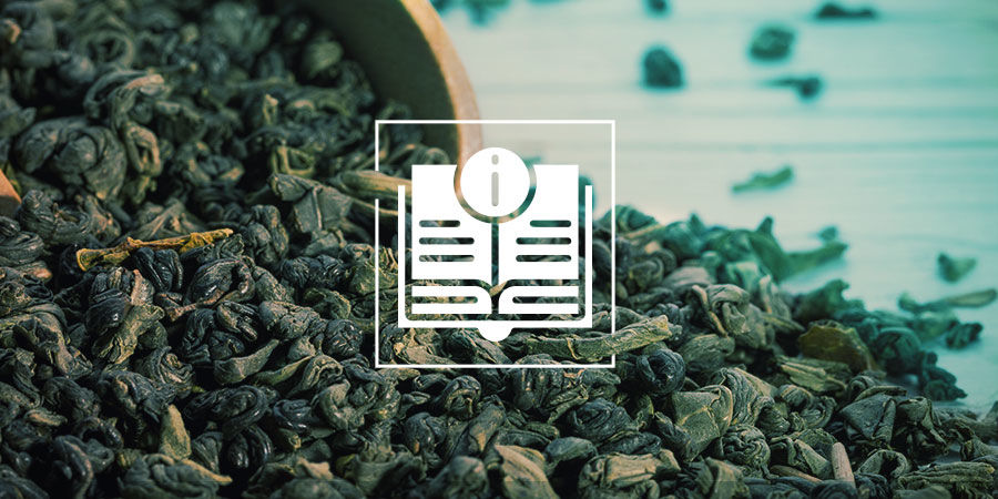 Wszystko o zielonej herbacie Gunpowder