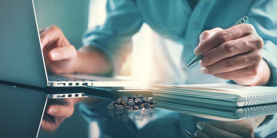 KORZYŚCI Z VELVET BEAN: FUNKCJE POZNAWCZE I UCZENIE SIĘ