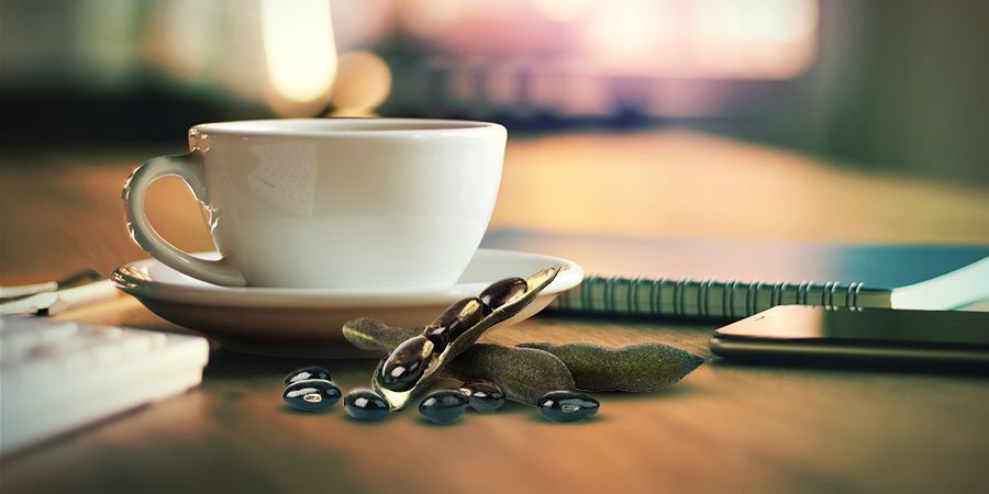 JAK STOSOWAĆ VELVET BEAN