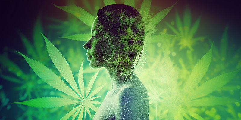 Jak długo CBD utrzymuje się w organizmie?