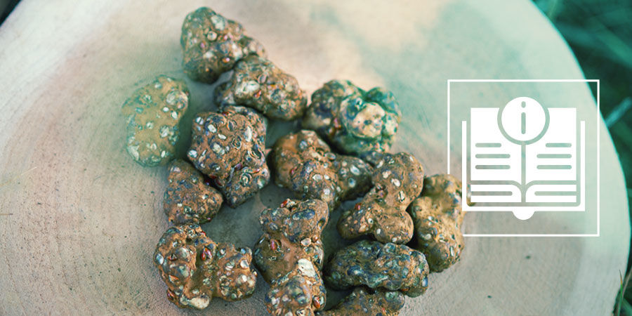 Wszystko, co musisz wiedzieć o Magicznych Truflach