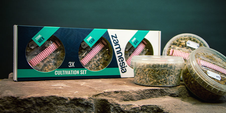 JAK ZDOBYĆ MAGICZNE TRUFLE