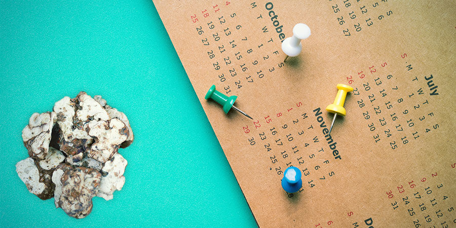 PLANOWANIE I CELEBROWANIE TWOJEGO TRIPU