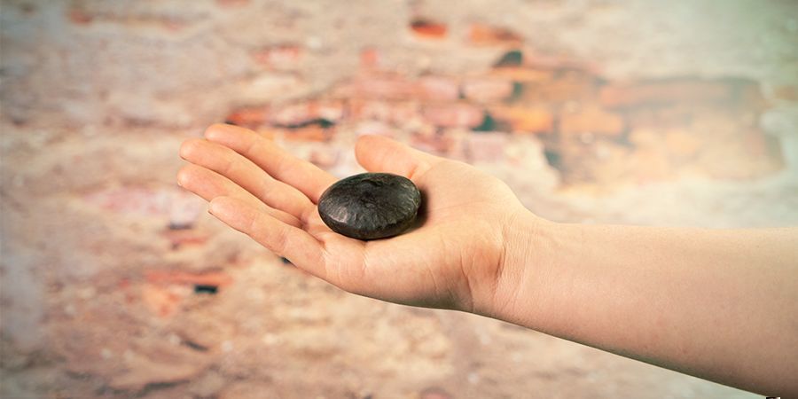 Czym są afrykańskie nasiona snów? CZYM SĄ AFRYKAŃSKIE NASIONA SNÓW?